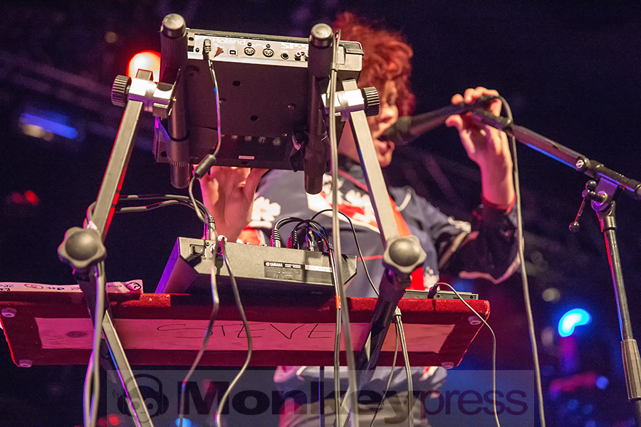 Steve, (c) Marcus Nathofer