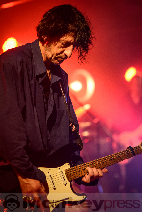 Dead Guitars, (c) Frank Güthoff