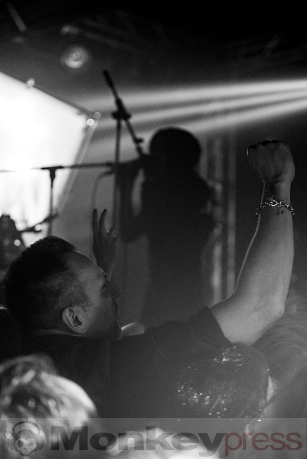 IAMX, (c) Markus Werner