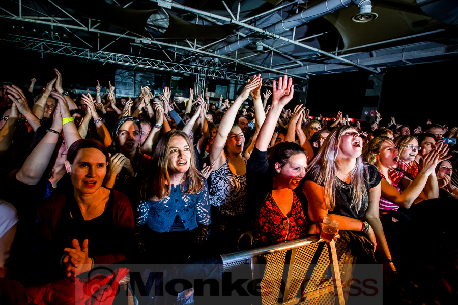 Maximo Park, (c) Michael Gamon