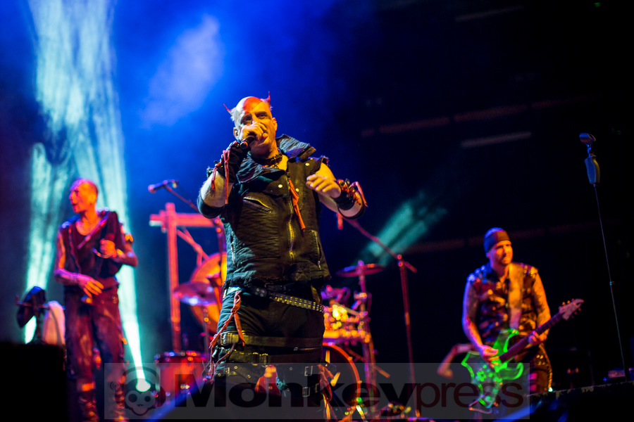 Tanzwut © Thomas Bunge