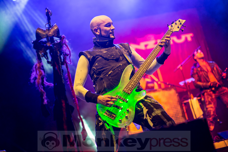 Tanzwut © Thomas Bunge