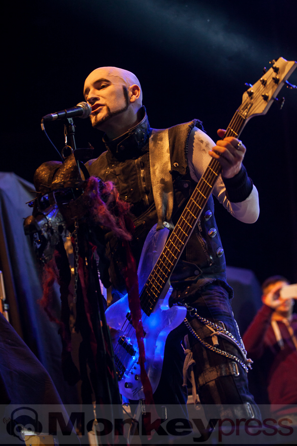 Tanzwut © Thomas Bunge