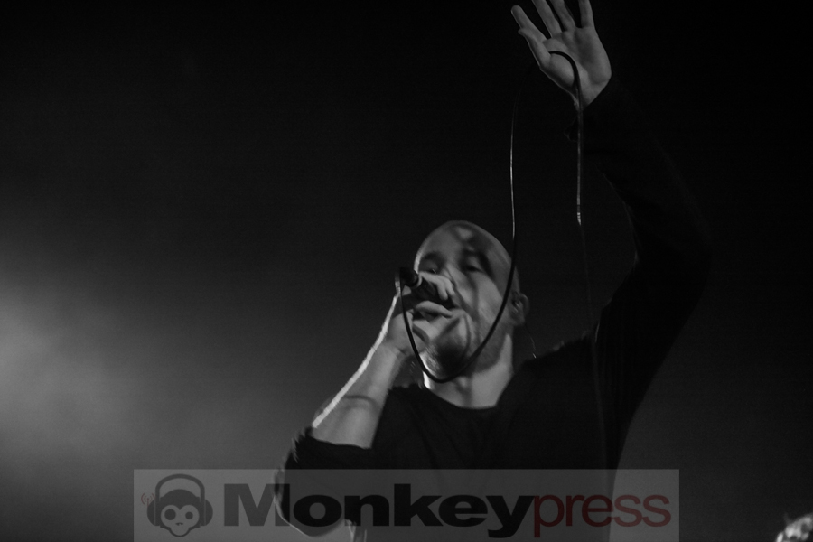 Agent Fresco, © Sarah Wolff