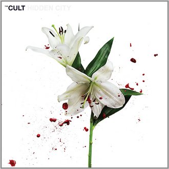 2 neue Videos von THE CULT - "Hinterland" und "Deeply Ordered Chaos" 2 neue Videos von THE CULT - "Hinterland" und "Deeply Ordered Chaos"