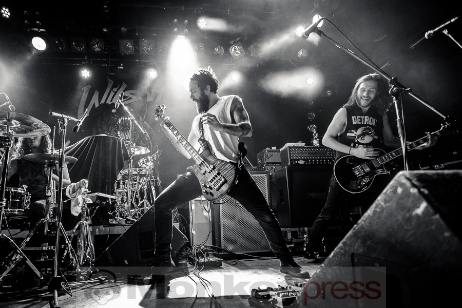 Wilson, (c) Michael Gamon