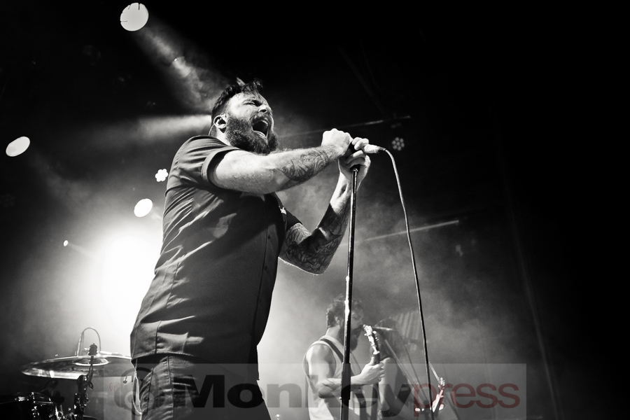 Wilson, (c) Michael Gamon