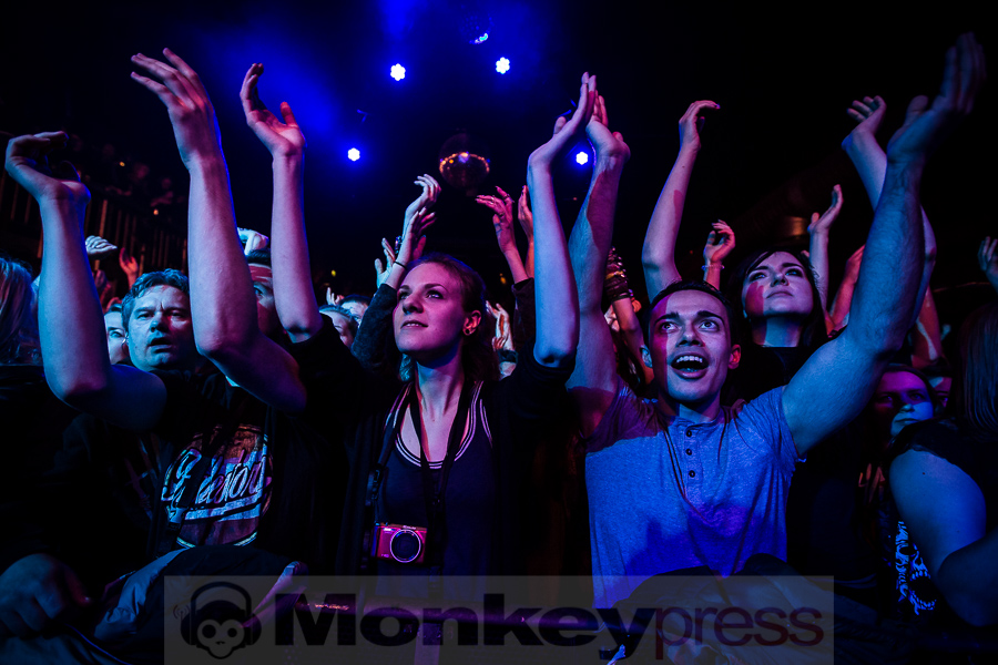 Wilson, (c) Michael Gamon