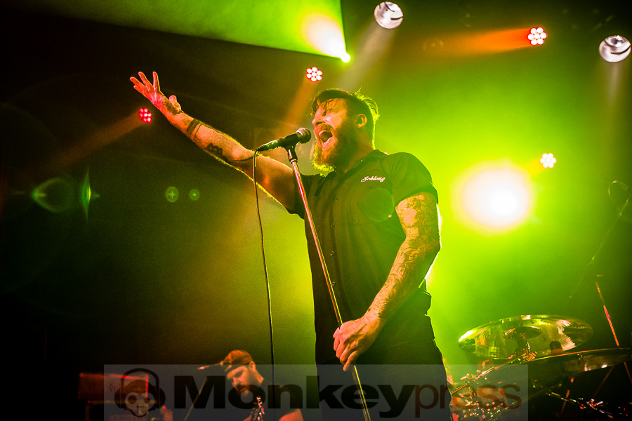 Wilson, (c) Michael Gamon