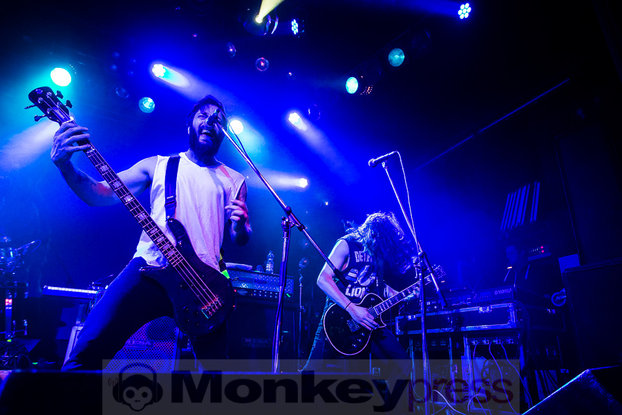 Wilson, (c) Michael Gamon