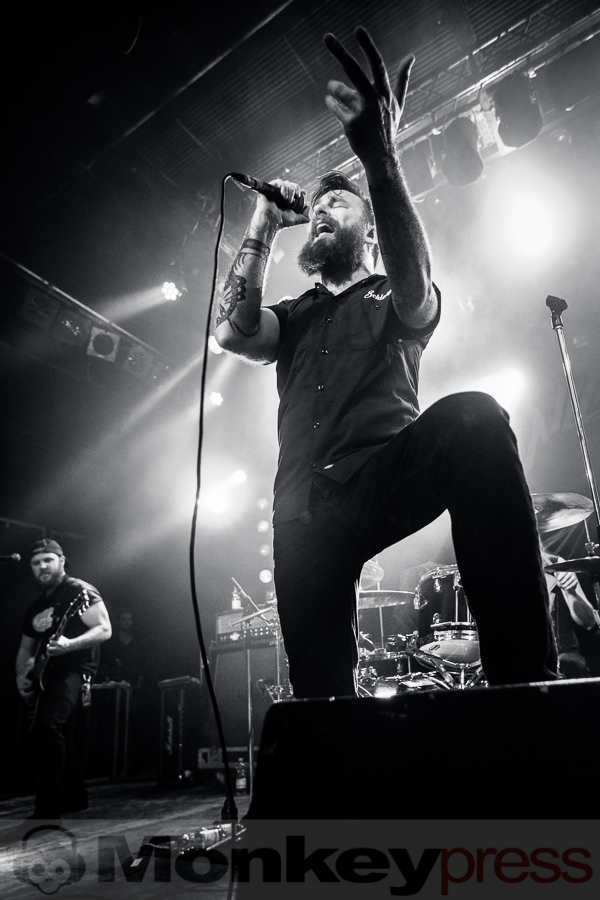 Wilson, (c) Michael Gamon