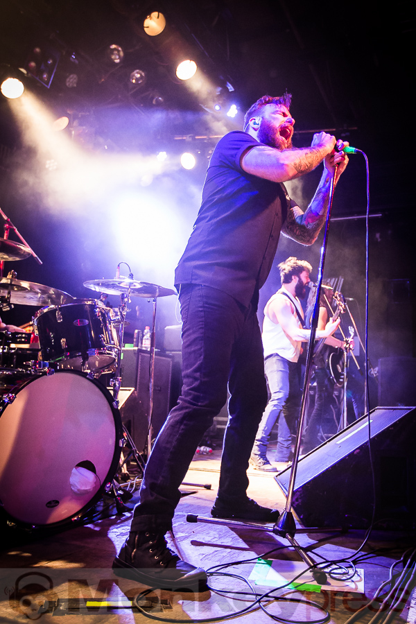 Wilson, (c) Michael Gamon