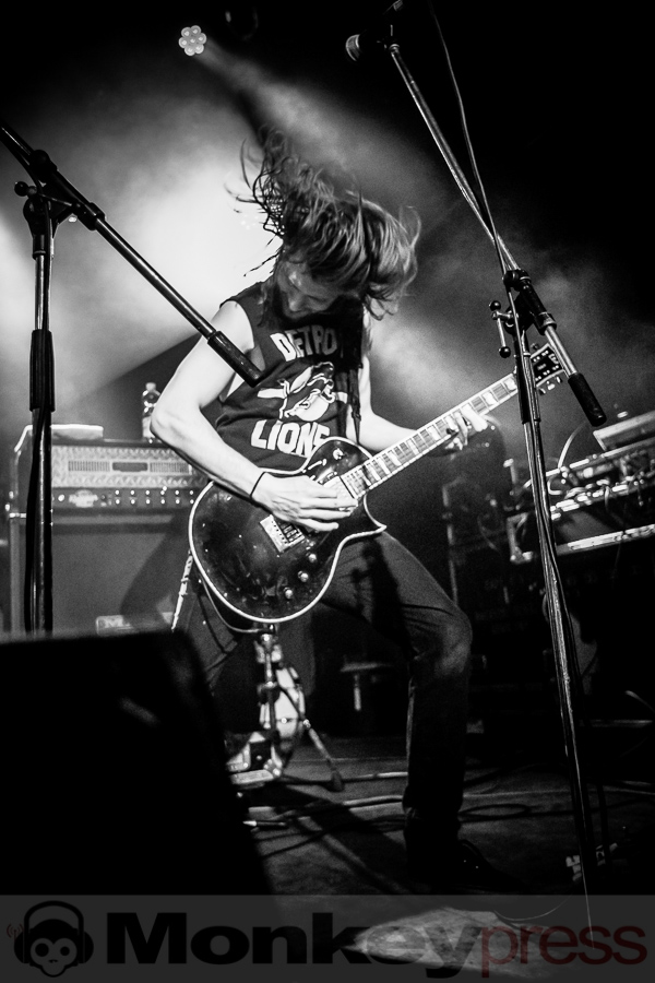 Wilson, (c) Michael Gamon