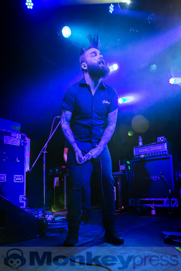 Wilson, (c) Michael Gamon