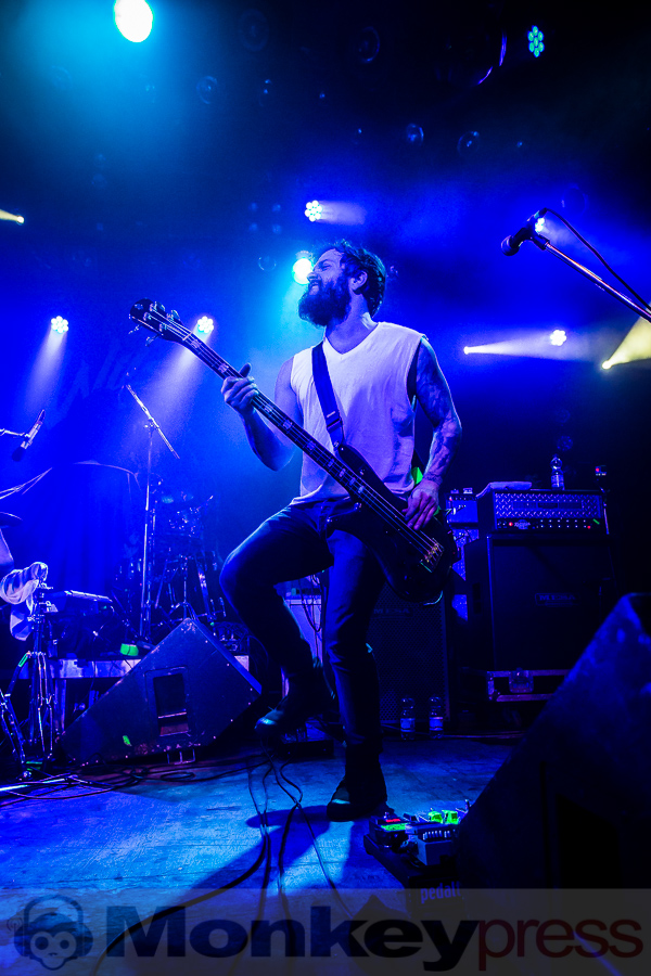 Wilson, (c) Michael Gamon