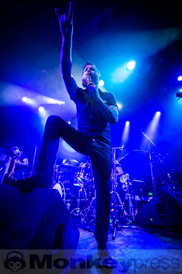 Wilson, (c) Michael Gamon