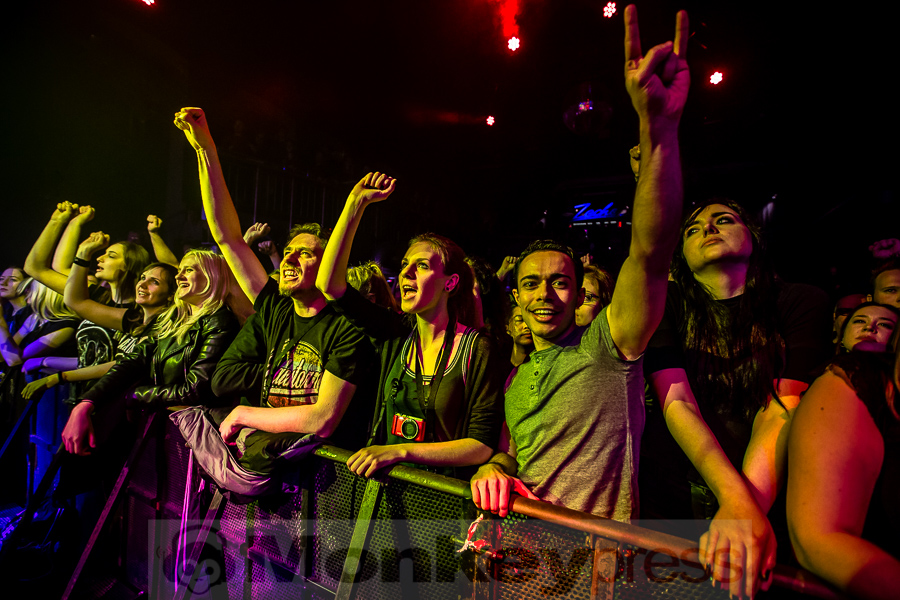 Wilson, (c) Michael Gamon