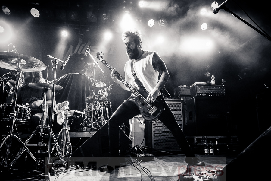 Wilson, (c) Michael Gamon