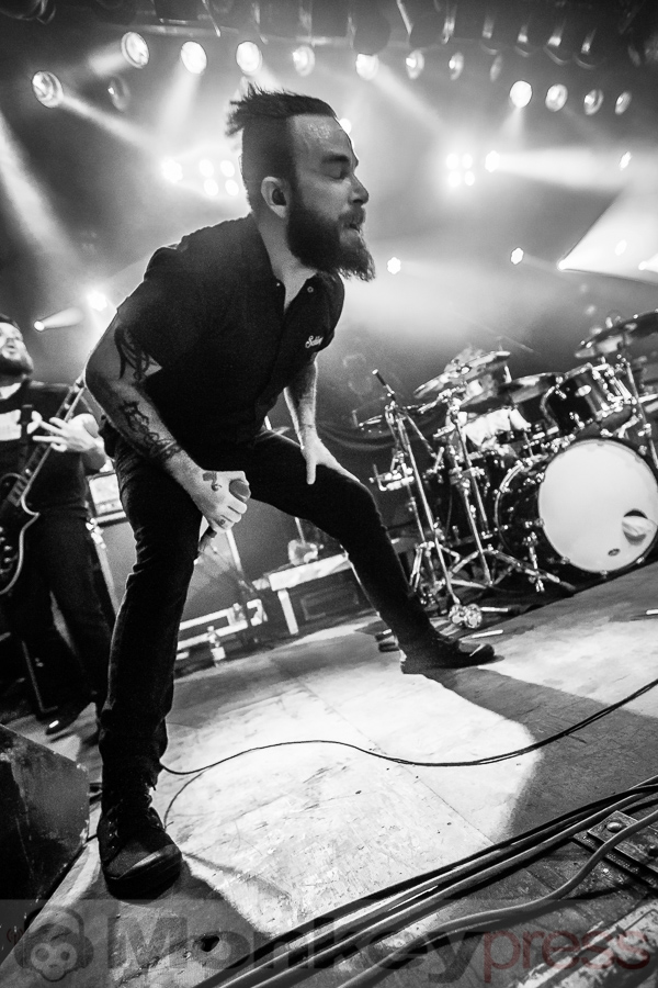 Wilson, (c) Michael Gamon