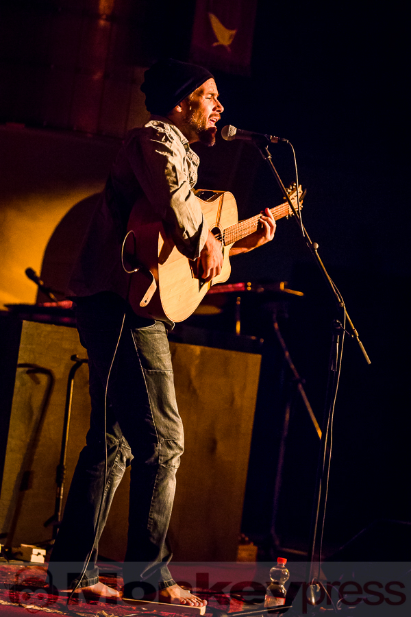 Mishka, (c) Michael Gamon