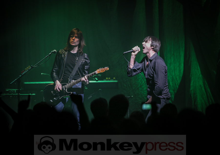 Suede, (c) Roger op den Camp
