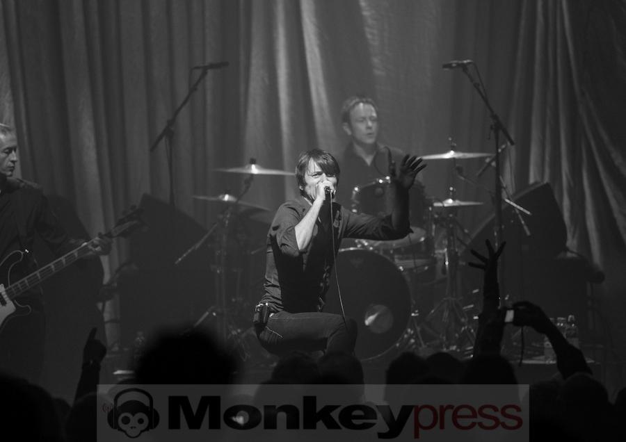 Suede, (c) Roger op den Camp