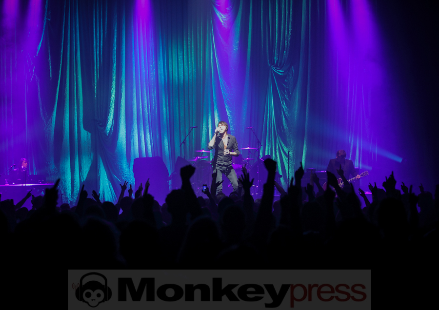 Suede, (c) Roger op den Camp