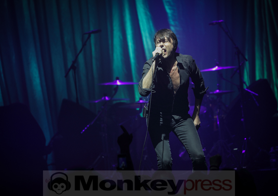 Suede, (c) Roger op den Camp