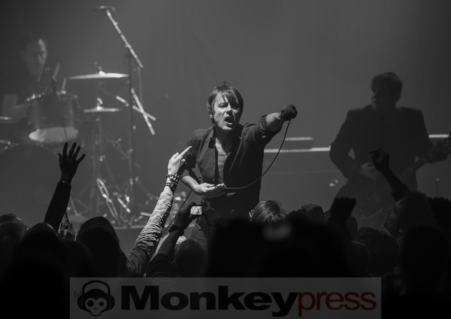 Suede, (c) Roger op den Camp