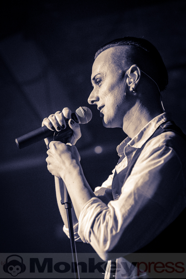 Solar Fake, © Frank Güthoff