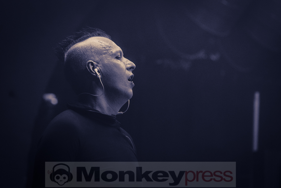 Solar Fake, © Frank Güthoff