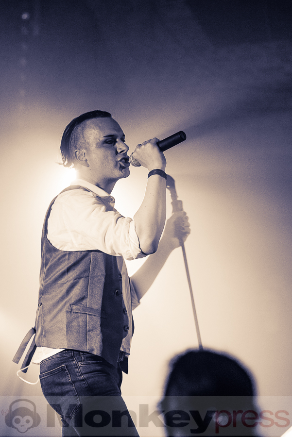 Solar Fake, © Frank Güthoff