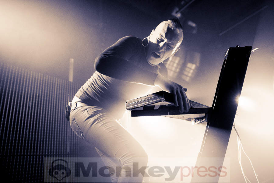 Solar Fake, © Frank Güthoff