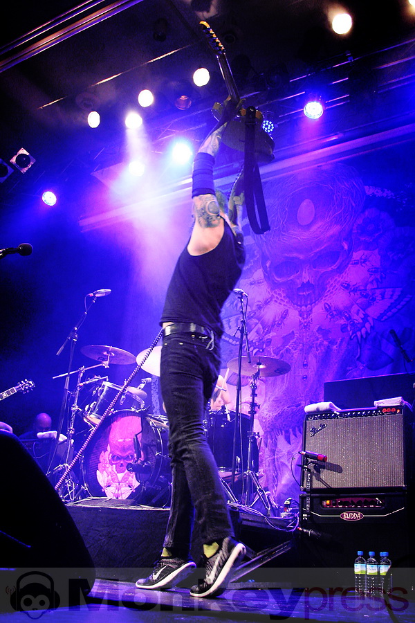 Baroness, © doctrine.design