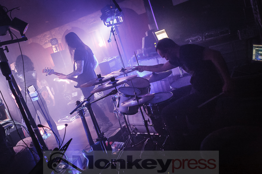 Sweet Ermengarde © Daniel Beiderwieden