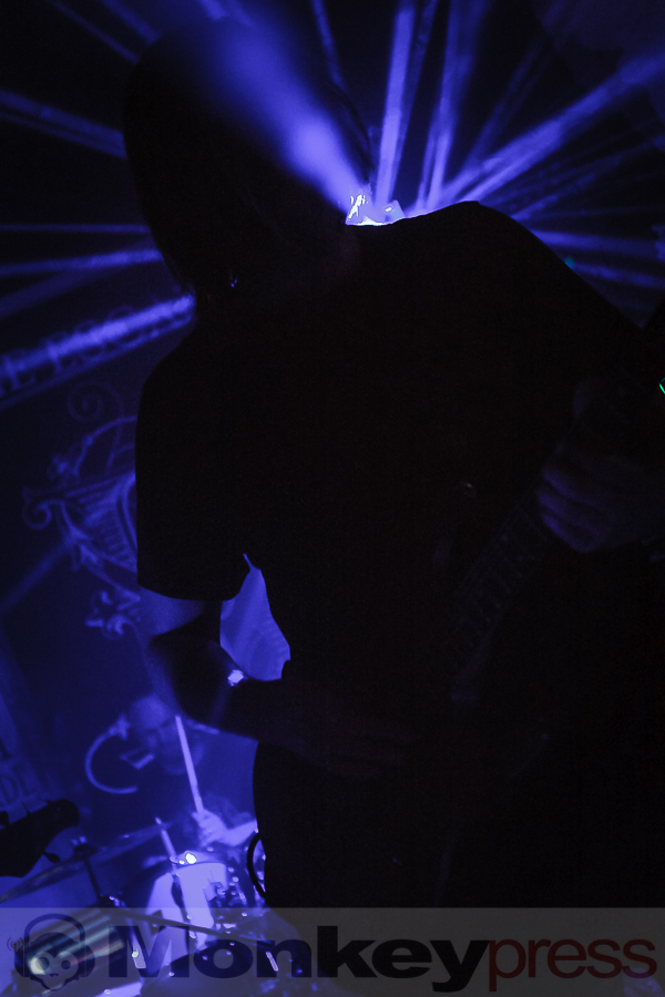 Sweet Ermengarde © Daniel Beiderwieden