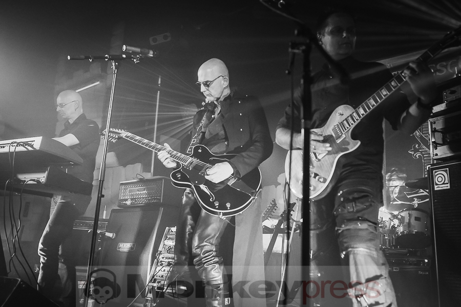 The Escape © Daniel Beiderwieden