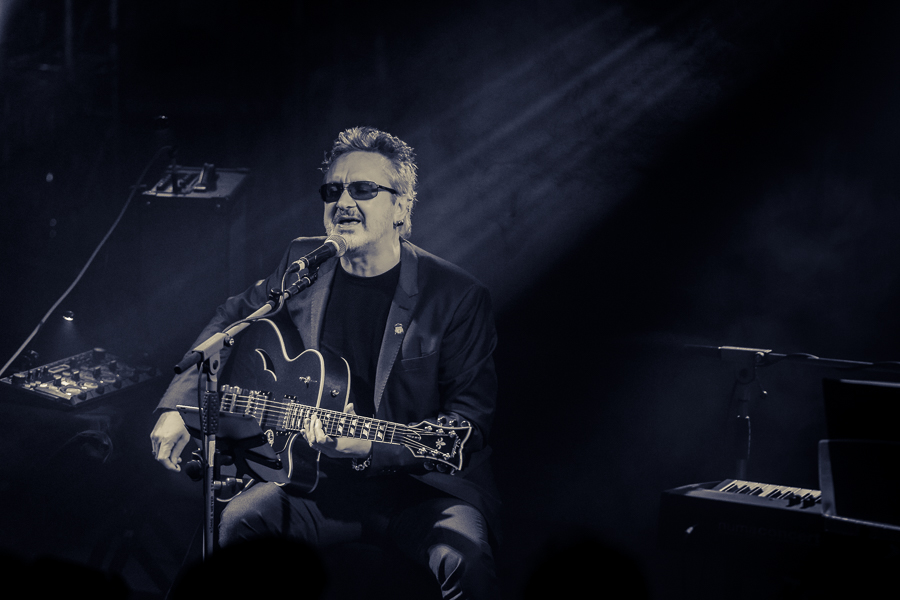 Wayne Hussey © Frank Güthoff