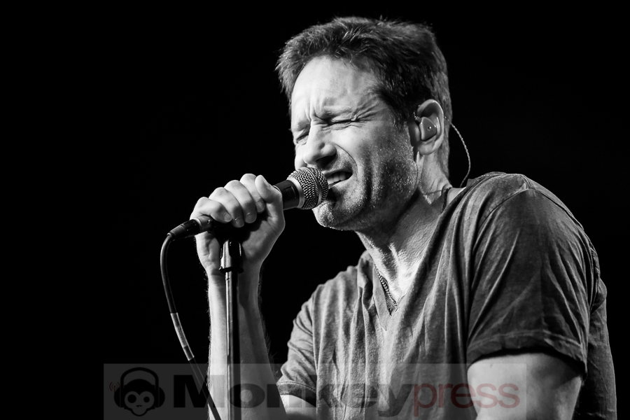 David Duchovny, © Michael Gamon