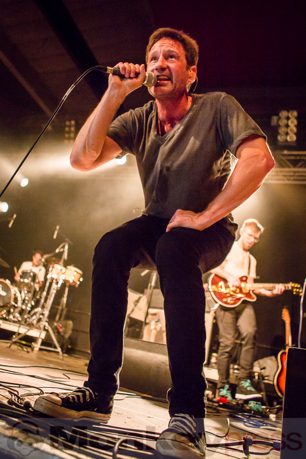 David Duchovny, © Michael Gamon