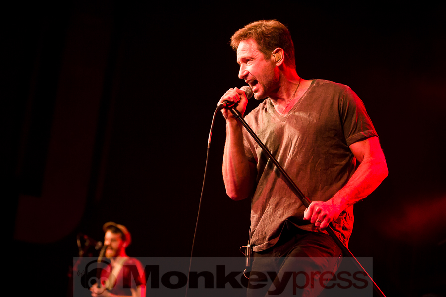 David Duchovny, © Michael Gamon