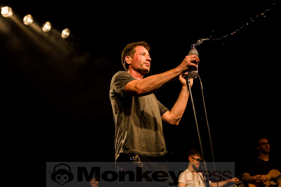 David Duchovny, © Michael Gamon