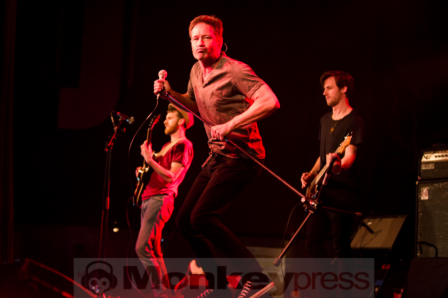 David Duchovny, © Michael Gamon