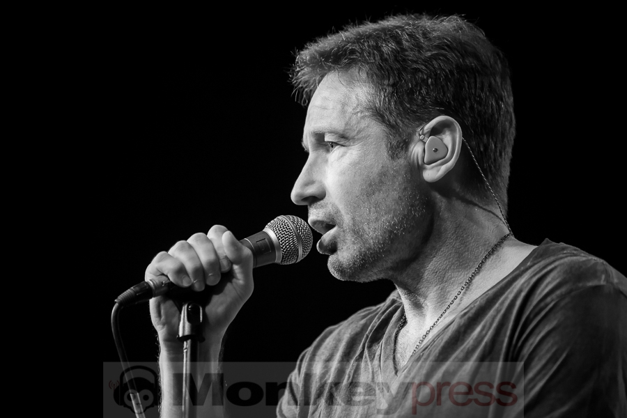 David Duchovny, © Michael Gamon