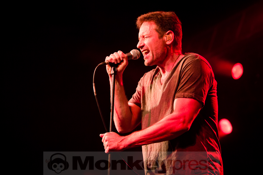 David Duchovny, © Michael Gamon