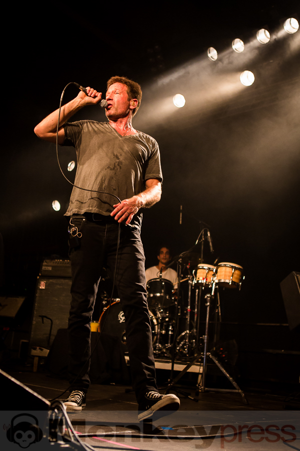 David Duchovny, © Michael Gamon