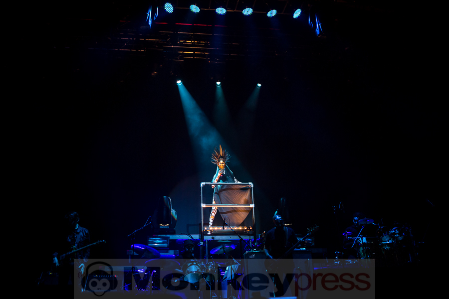 Grace Jones, © Michael Gamon