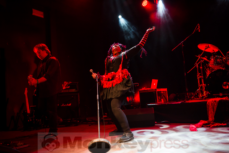 Lene Lovich, © Michael Gamon