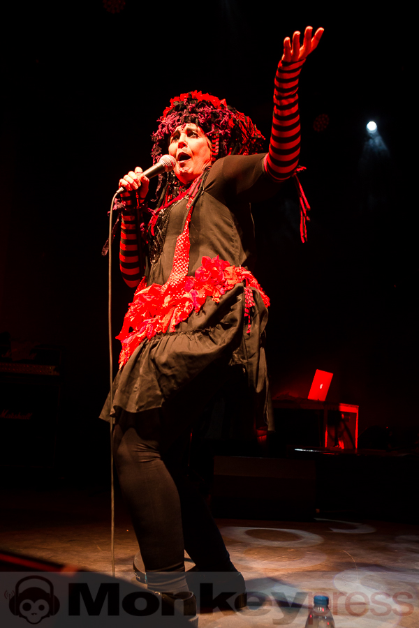 Lene Lovich, © Michael Gamon