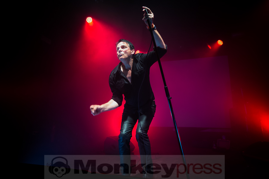 Dirk Ivens, © Michael Gamon